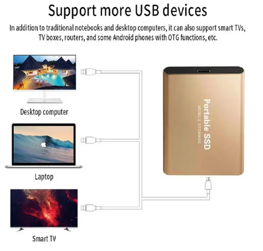 Disque Dur Externe SSD Portable Type-C Haute Vitesse 1TB