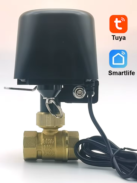Vanne d'eau intelligente Tuya WIFI - Taille DN15 1/2"