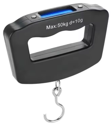 Balance à main électronique LCD Portable 50kg